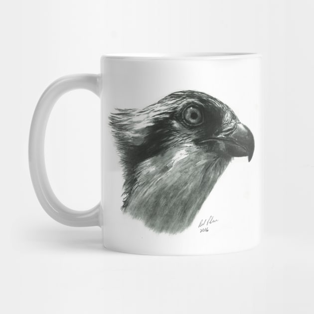 Osprey - bird of prey - fish hawk - bird lover by allthumbs